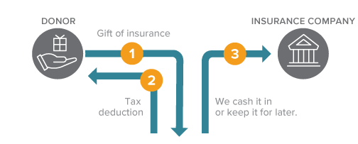 Gift of Life Insurance Diagram